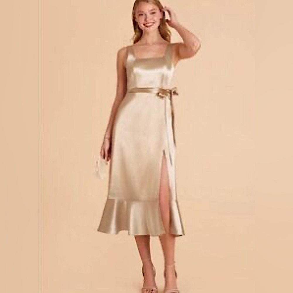 Birdy Gray Eugenia Shiny Neutral Champagne Satin Midi Dress size Large